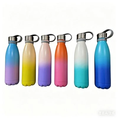 Double Wall Stainless Steel hmanga siam Vacuum Bottle a ni
